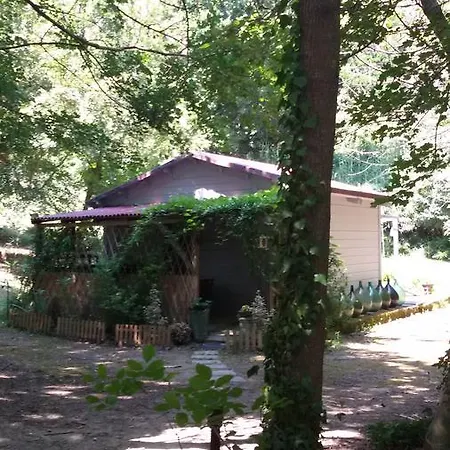 Fattoria Bio Dentro Al Bosco Bed & Breakfast