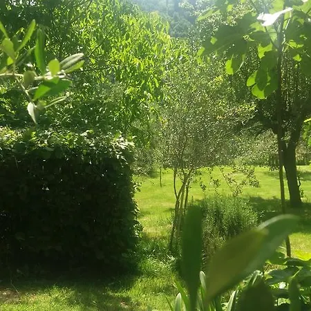 Fattoria Bio Dentro Al Bosco *