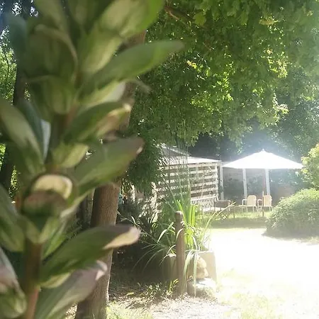 Bed & Breakfast Fattoria Bio Dentro Al Bosco Saludecio