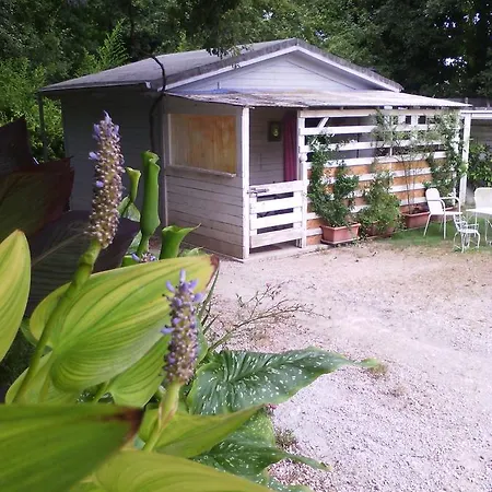 Fattoria Bio Dentro Al Bosco Bed & Breakfast
