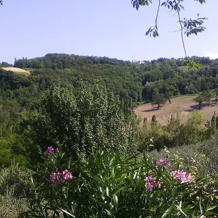 Fattoria Bio Dentro Al Bosco Saludecio