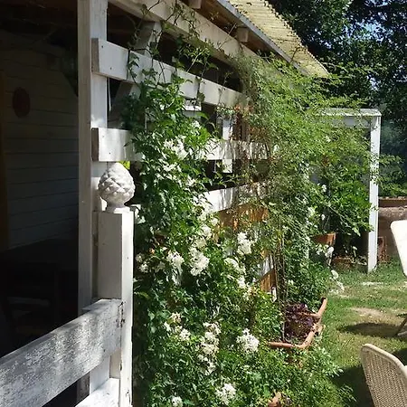 Fattoria Bio Dentro Al Bosco Bed and Breakfast Saludecio