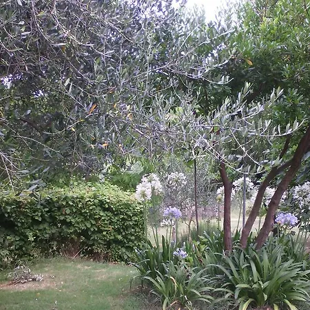 Fattoria Bio Dentro Al Bosco *