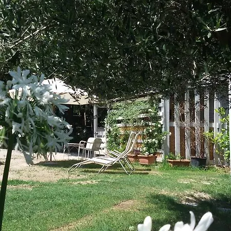 Bed & Breakfast Fattoria Bio Dentro Al Bosco