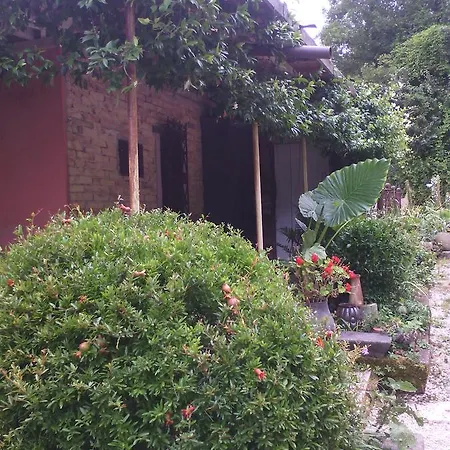 Bed & Breakfast Fattoria Bio Dentro Al Bosco *
