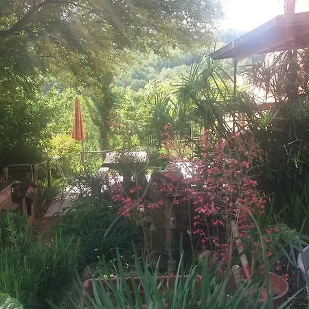 Fattoria Bio Dentro Al Bosco